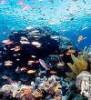 Great Barrier Reef